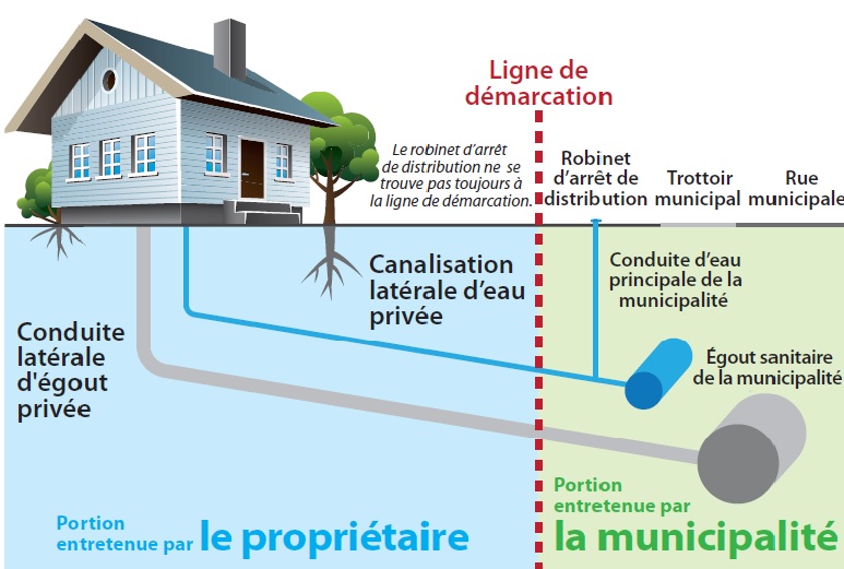 Les Troubles De L'alimentation Et Des Conduites Alimentaires Sous L
